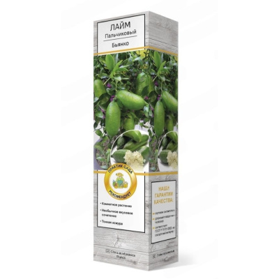 Цитрус Лайм Пальчиковый Бьянко/ЦКор